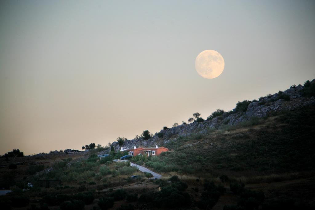 Cortijo Nuevo Rural Cuevas del Becerro
